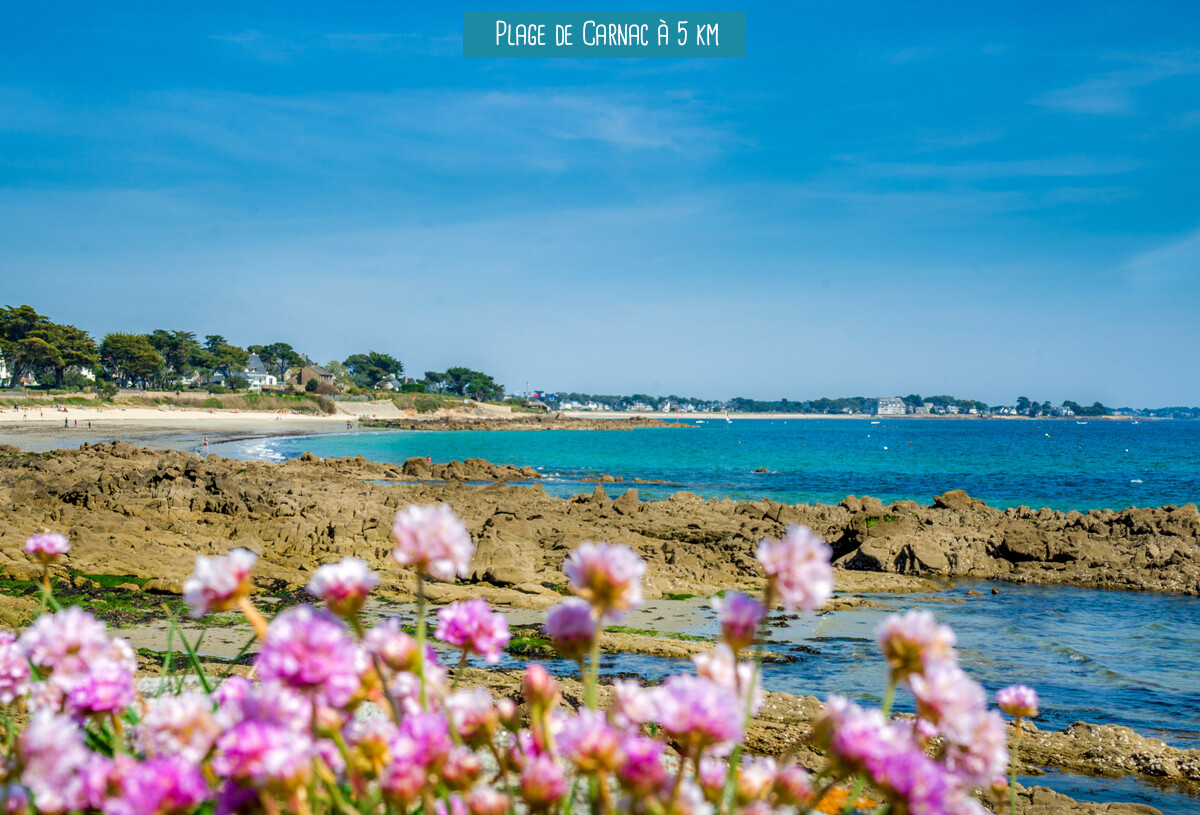 slider-6_moustoir-carnac-fr-43267470_0.jpg